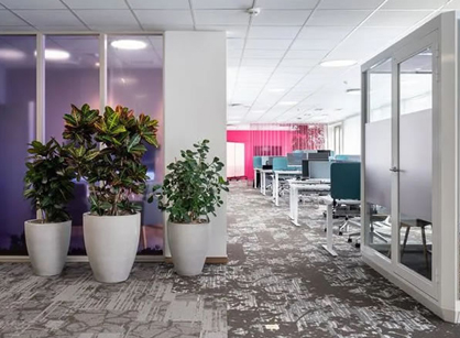 關(guān)注員工感受的辦公裝修設(shè)計(jì)空間是怎樣的——Bayer拜耳